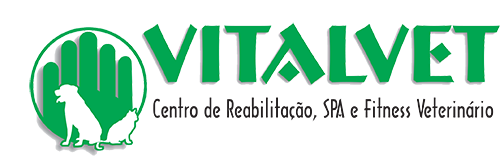 Vitalvet